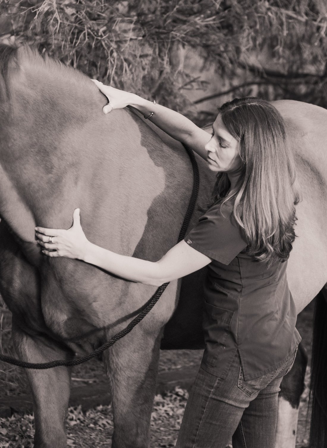 Equine practitioner observing a horse during hands-on assessment.